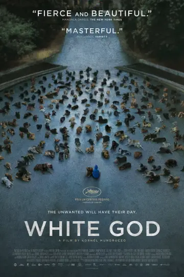 Plakat do filmu "Biały Bóg" #276211
