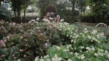 Zasłona do filmu "人妻コレクター" #950598
