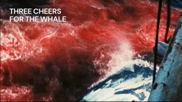 Zasłona do filmu "Vive la baleine" #1574441
