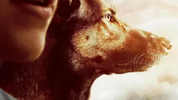 Zasłona do filmu "Max" #235755