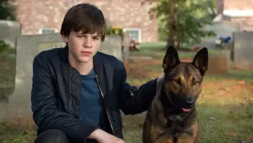 Zasłona do filmu "Max" #235757