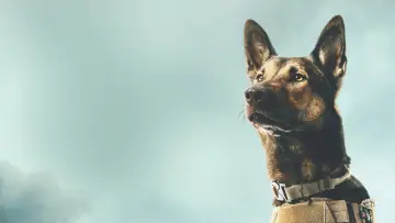 Zasłona do filmu "Max" #887814