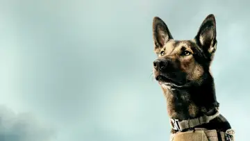 Zasłona do filmu "Max" #887816
