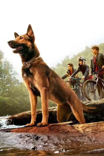 Plakat do filmu "Max" #887820