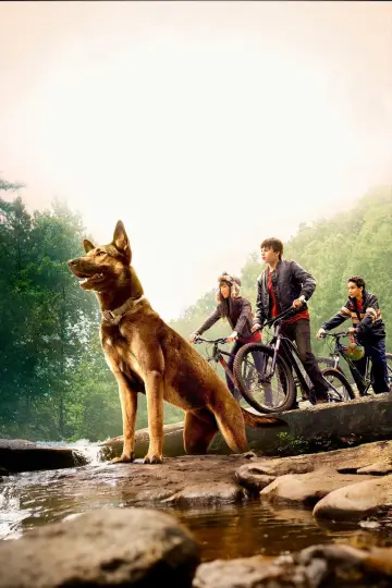 Plakat do filmu "Max" #887821