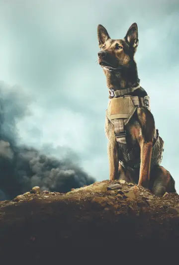 Plakat do filmu "Max" #887822