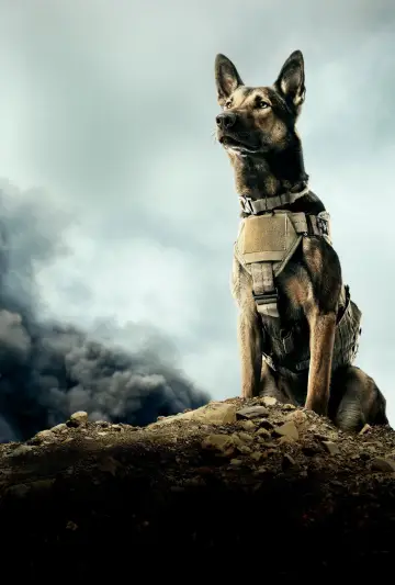 Plakat do filmu "Max" #887824