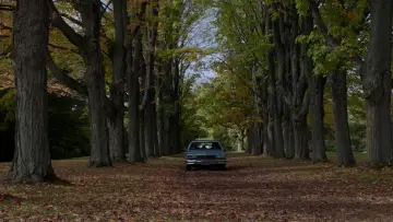 Zasłona do filmu "Coś za mną chodzi" #1529623