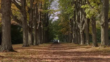 Zasłona do filmu "Coś za mną chodzi" #592663