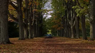 Zasłona do filmu "Coś za mną chodzi" #592679
