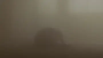 Zasłona do filmu "Sicario" #589212
