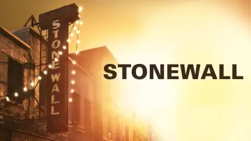 Zasłona do filmu "Stonewall" #1054352
