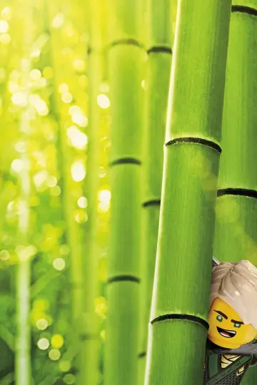 Plakat do filmu "LEGO® Ninjago: Film" #284068