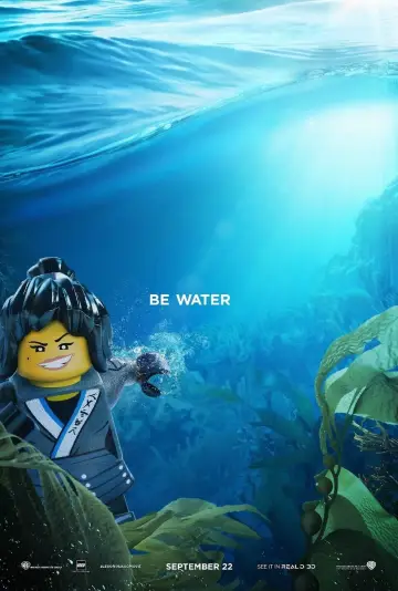 Plakat do filmu "LEGO® Ninjago: Film" #56410