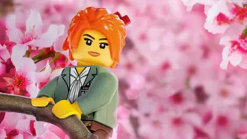 Zasłona do filmu "LEGO® Ninjago: Film" #647657