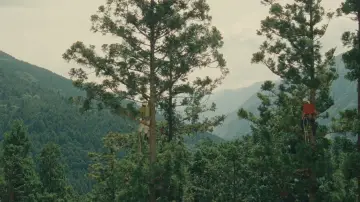 Zasłona do filmu "WOOD JOB! ～神去なあなあ日常～" #1123511