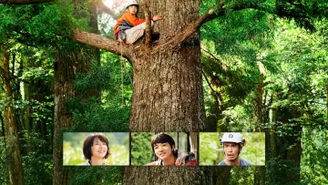 Zasłona do filmu "WOOD JOB! ～神去なあなあ日常～" #1637374