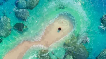 Zasłona do filmu "Vaiana: Skarb oceanu" #629492