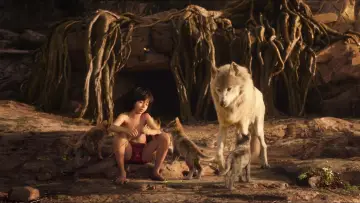 Zasłona do filmu "Księga dżungli" #257375