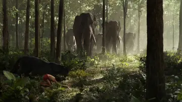 Zasłona do filmu "Księga dżungli" #604627