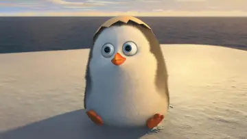 Zasłona do filmu "Pingwiny z Madagaskaru" #313380
