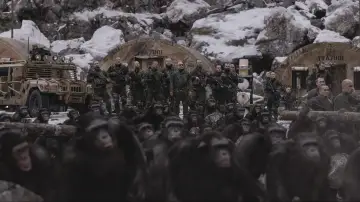 Zasłona do filmu "Wojna o Planetę Małp" #235041