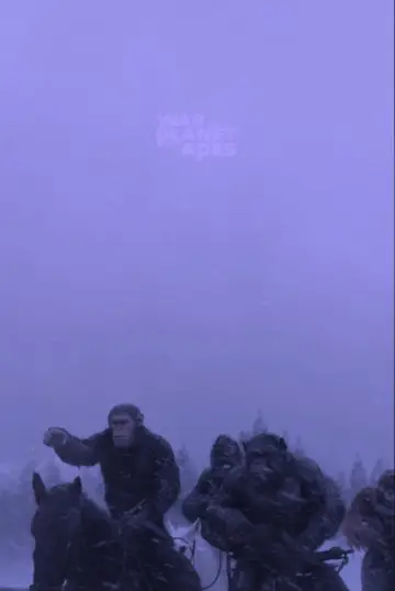 Plakat do filmu "Wojna o Planetę Małp" #463922