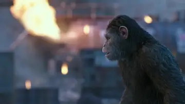 Zasłona do filmu "Wojna o Planetę Małp" #585959