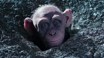 Zasłona do filmu "Wojna o Planetę Małp" #585970