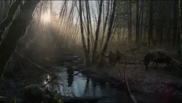 Zasłona do filmu "Zjawa" #516963