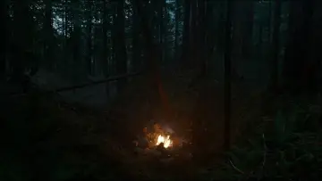 Zasłona do filmu "Zjawa" #516965