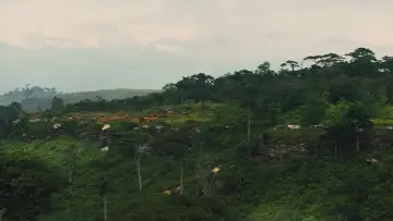 Zasłona do filmu "Beasts of No Nation" #205730