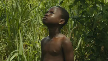 Zasłona do filmu "Beasts of No Nation" #985766