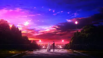 Zasłona do filmu "Fate/stay night: Heaven