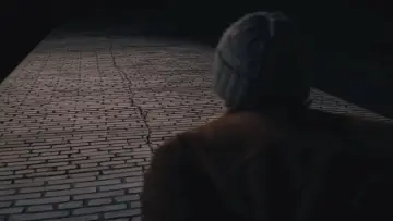 Zasłona do filmu "Dureń" #1856150