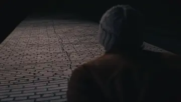 Zasłona do filmu "Dureń" #1856169