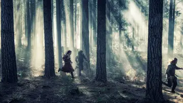 Zasłona do filmu "Saga Wikingów" #358567
