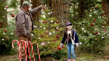 Zasłona do filmu "Świąteczna gorączka 2" #469023