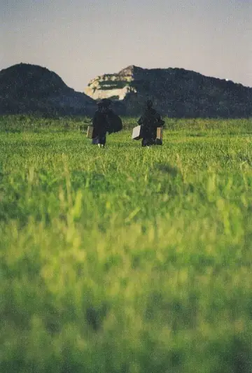 Plakat do filmu "Służąca" #175406