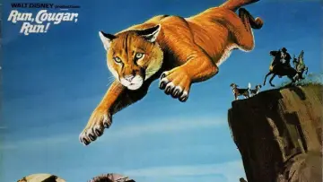 Zasłona do filmu "Run, Cougar, Run" #1042835