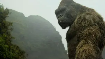 Zasłona do filmu "Kong: Wyspa Czaszki" #1529418