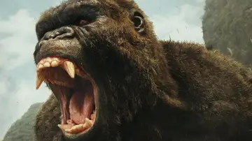 Zasłona do filmu "Kong: Wyspa Czaszki" #1529419