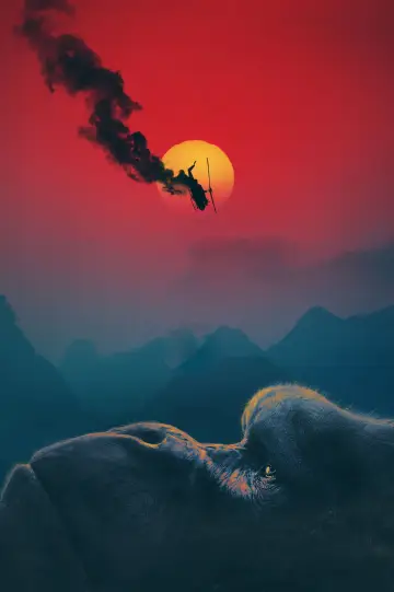 Plakat do filmu "Kong: Wyspa Czaszki" #313972