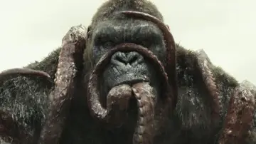 Zasłona do filmu "Kong: Wyspa Czaszki" #591697