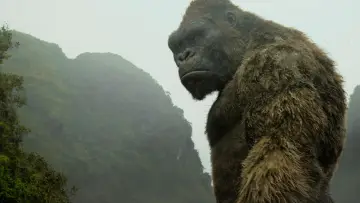 Zasłona do filmu "Kong: Wyspa Czaszki" #591705