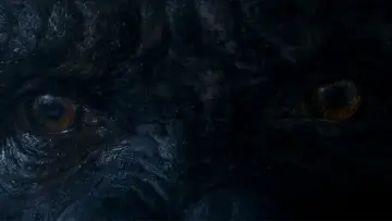 Zasłona do filmu "Kong: Wyspa Czaszki" #591729