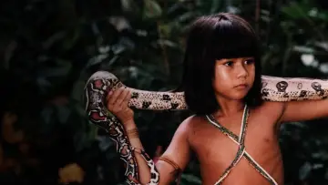 Zasłona do filmu "Tainá: Uma Aventura na Amazônia" #1181036