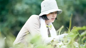 Zasłona do filmu "リトル・フォレスト 夏・秋" #428355