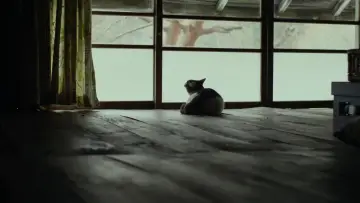 Zasłona do filmu "リトル・フォレスト 夏・秋" #853897