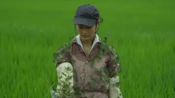 Zasłona do filmu "リトル・フォレスト 夏・秋" #853908